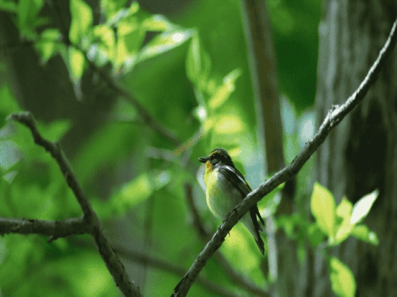 周建萍试管（洗涤试管标志）